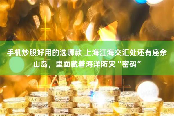 手机炒股好用的选哪款 上海江海交汇处还有座佘山岛，里面藏着海洋防灾“密码”