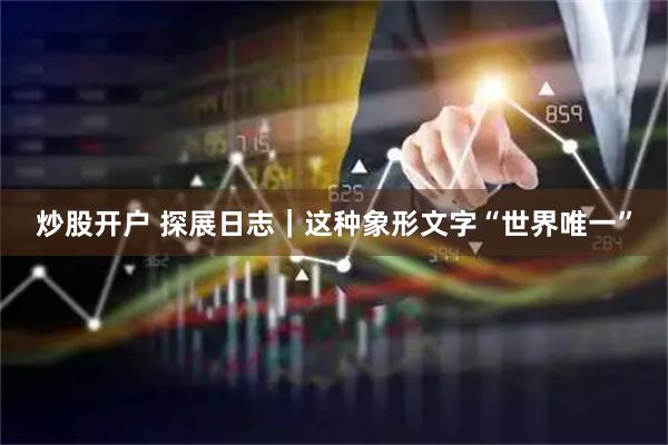 炒股开户 探展日志｜这种象形文字“世界唯一”